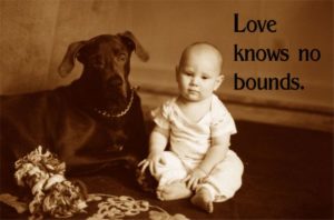A baby and a dog sitting on a carpet