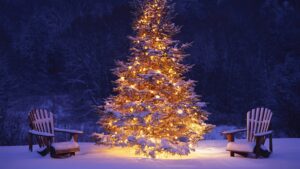 Christmas tree with lights in the snow