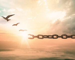 a broken chain with birds flying away