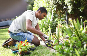 a man doing yardwork