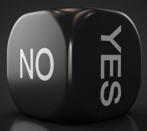 a single die with yes or no options