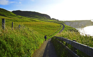 A man walking a winding path