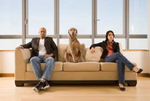 two angry people sitting on a sofa with a dog between them