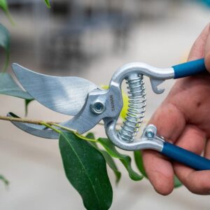 a hand holding pruners