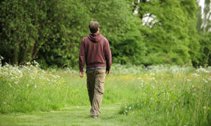 A man walking on a path near trees and wildflowers