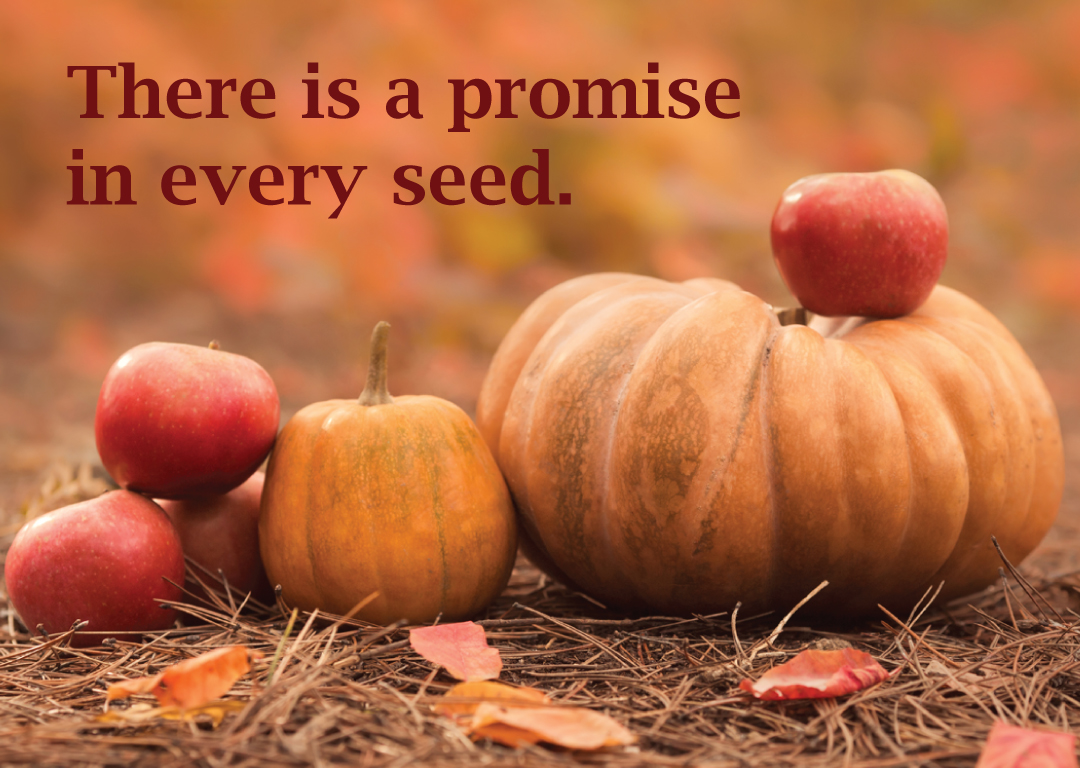 A pile of pumpkins and apples against an autumn background