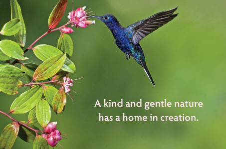 A kind and gentle nature.